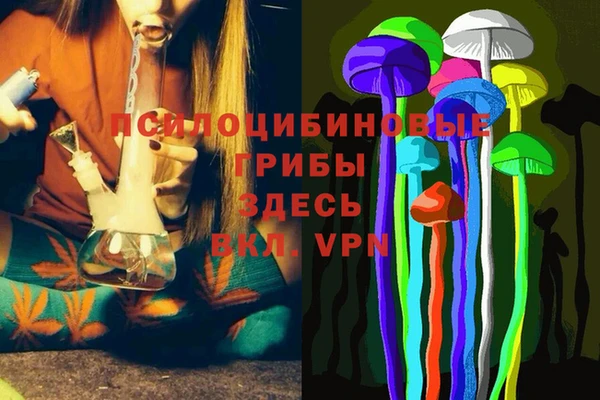 кокаин премиум Алексеевка